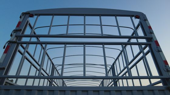 CIMC HUAJUN 11.00R20 Strahl-Fahrzeug für den Güterverkehr