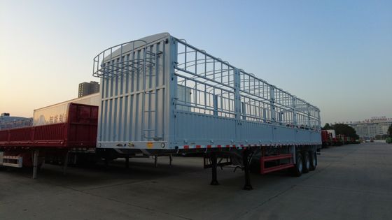 CIMC HUAJUN 11.00R20 Strahl-Fahrzeug für den Güterverkehr
